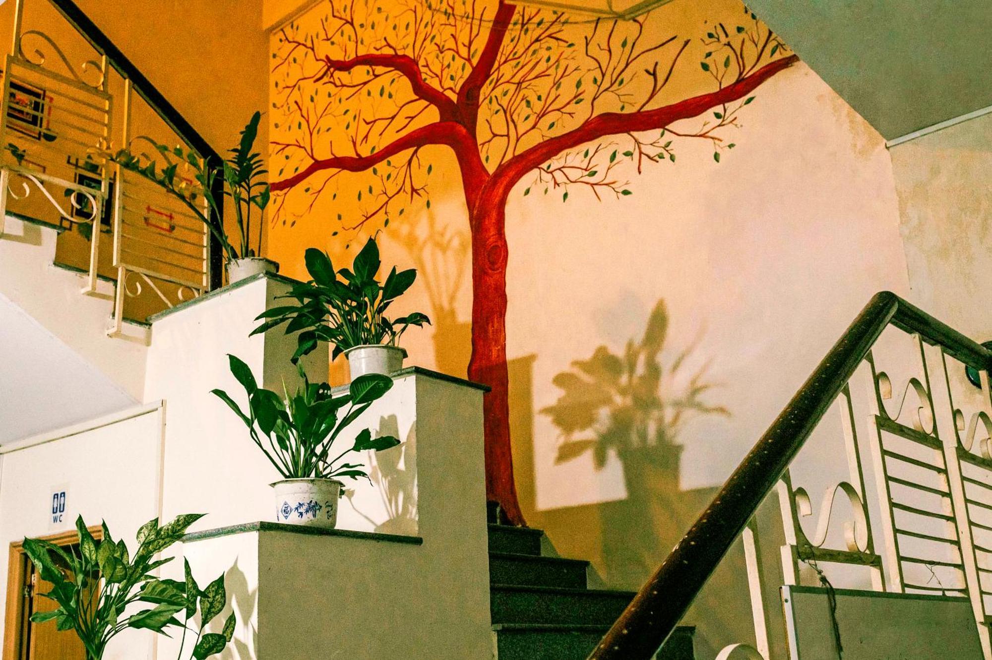 Bui Hostel - Ben Tau راش غايا المظهر الخارجي الصورة